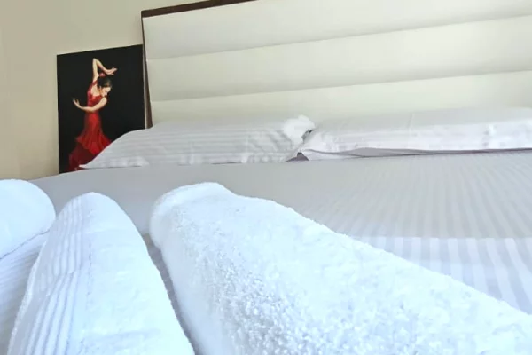 Shtepi me qera Apartament ne Tirane, 1+1, Mobilimi E mobiluar, Pagesa 600  Euro.