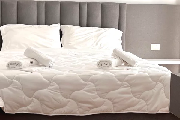 Apartment for rent in Tirana 2+1, Furnished