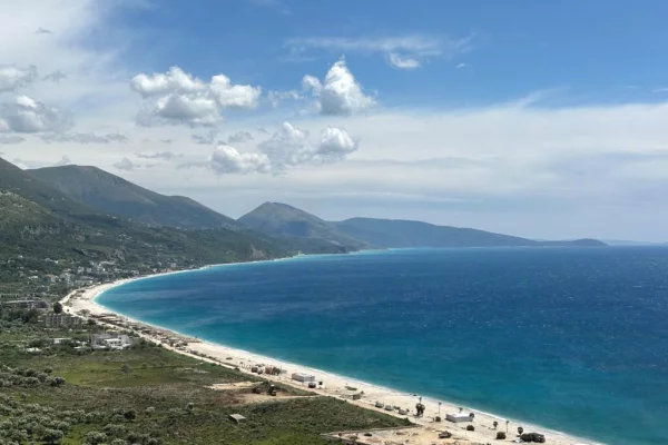 Shitet tokë në Palasë