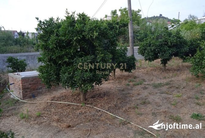 Land for Sale in Lushnje - 168,000 Euro