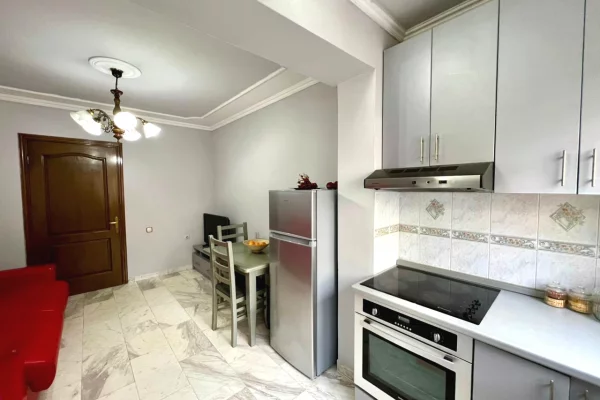 Shtepi me qera Apartament ne Tirane, 1+1, Mobilimi E mobiluar, Pagesa 520  Euro.