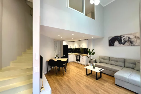 Shtepi ne shitje Duplex(shtepi me 2 kate) ne Tirane, 1+1, Mobilimi E mobiluar, Pagesa 128,000  Euro.