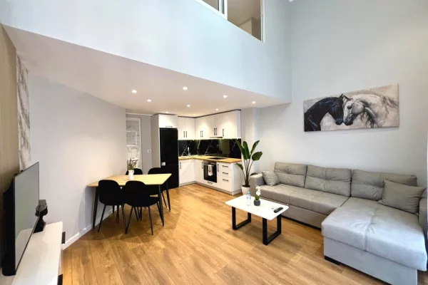 Shtepi ne shitje Duplex(shtepi me 2 kate) ne Tirane, 1+1, Mobilimi E mobiluar, Pagesa 128,000  Euro.