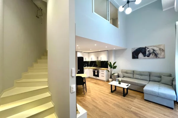 Shtepi ne shitje Duplex(shtepi me 2 kate) ne Tirane, 1+1, Mobilimi E mobiluar, Pagesa 128,000  Euro.