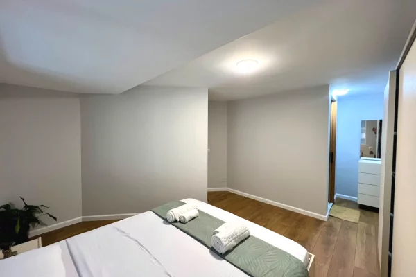 Shtepi ne shitje Duplex(shtepi me 2 kate) ne Tirane, 1+1, Mobilimi E mobiluar, Pagesa 128,000  Euro.
