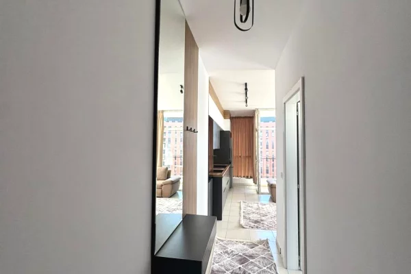 Shtepi me qera Apartament ne Tirane, 1+1, Mobilimi E mobiluar, Pagesa 55,000  Leke.