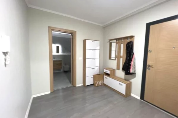Shtepi me qera Apartament ne Tirane, 1+1, Mobilimi E mobiluar, Pagesa 45,000  Leke.