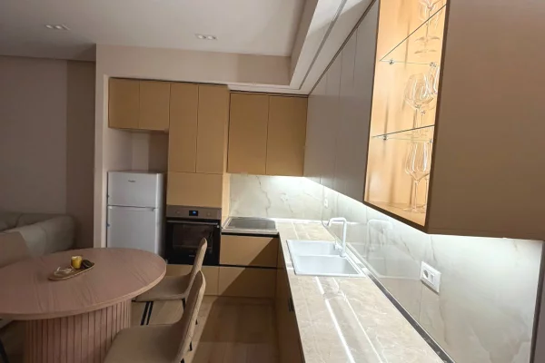 Shtepi me qera Apartament ne Tirane, 2+1, Mobilimi E mobiluar, Pagesa 100,000  Leke.