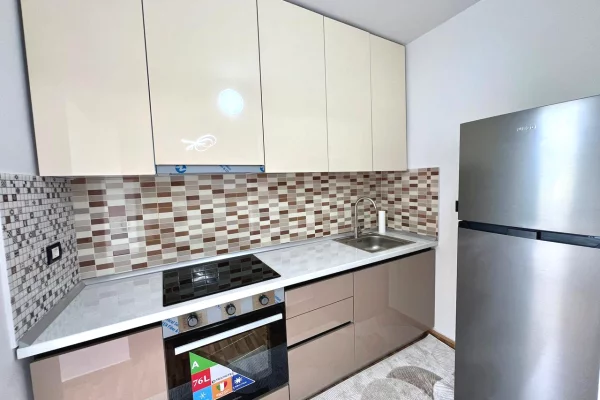 Shtepi me qera Apartament ne Tirane, 1+1, Mobilimi E mobiluar, Pagesa 400  Euro.