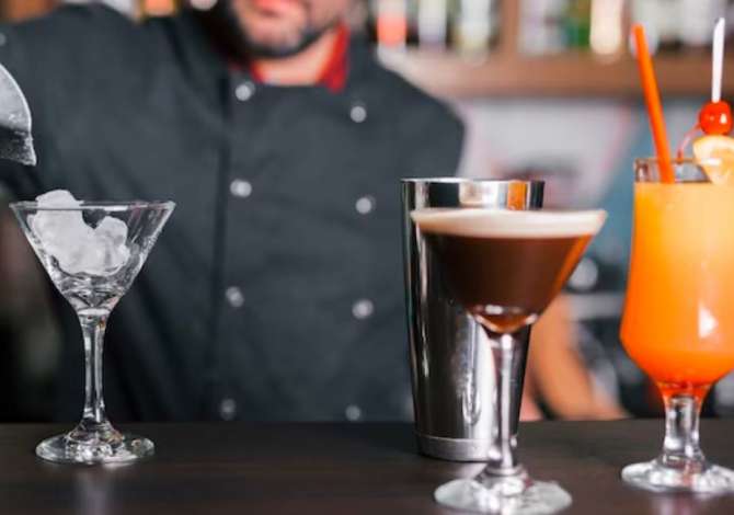 Job Offers for Barkeeper in Tirana