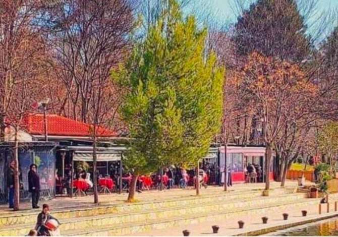 Job Offers for Waiter in Tirana