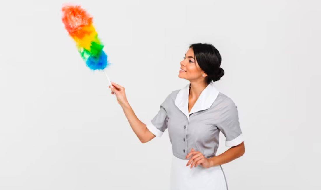 Job Offers in Tirana, Profession Kujdestare shtepie , Beginner/Little experience, Payment By Agreement.