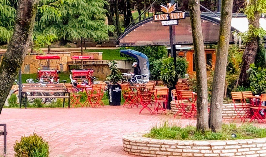 Job Offers in Tirana, Profession Kamarier, Pjatalarese , With experience, Payment By Agreement.