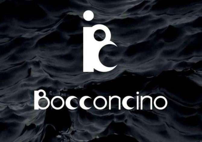 Job Offers for Cook in Tirana