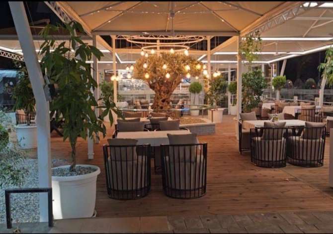 Job Offers for Cook in Tirana