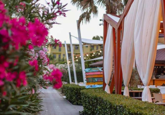 Njoftime Pune ne Shkoder, Profesioni Kuzhinier, Shef Kuzhine , Me eksperience, Pagesa 3,000  Euro.