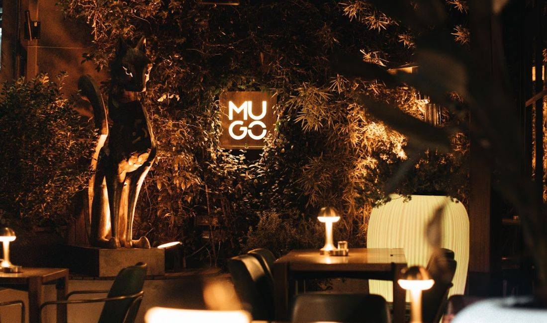 Njoftime Pune ne Tirane, Profesioni Ndihmes Kuzhinier/e , Fillestar/Pak eksperience, Pagesa Me Marreveshje.