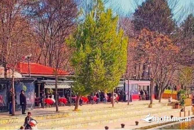 Njoftime Pune per Banakier/e dhe Kamarier ne Tirane