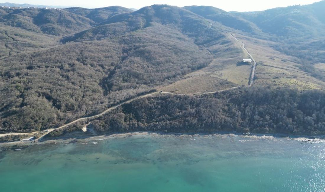 Shitet Toke Fantastike prane Detit – Kepi i Rodonit (Marina Rodon) 