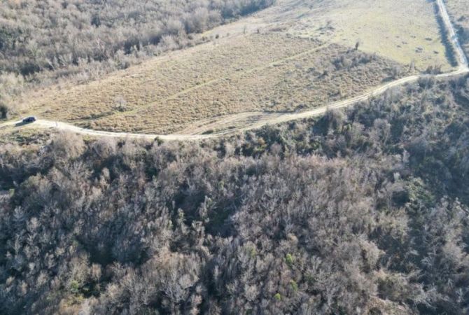 Shitet Toke Fantastike prane Detit – Kepi i Rodonit (Marina Rodon) 