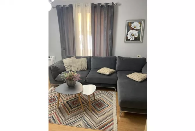Shtepi ne shitje Apartament ne Tirane, 1+1, Mobilimi E mobiluar, Pagesa 155,000  Euro.