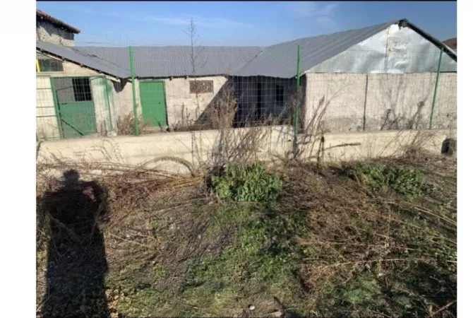 Truall ose Toke ne Korce - 40,000 Euro