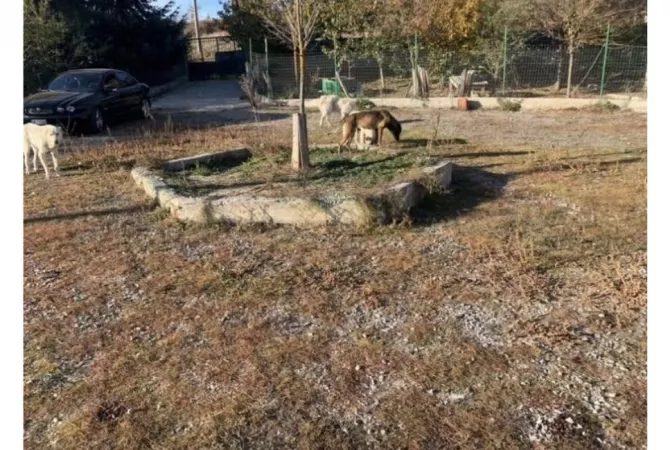 Truall ose Toke ne Korce - 40,000 Euro