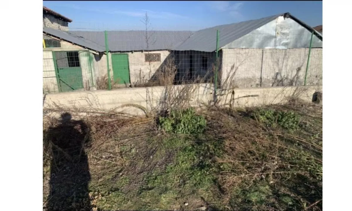 SHITET (me mundesi NDERRIMI) – Prone me Dokumentacion te Rregullt