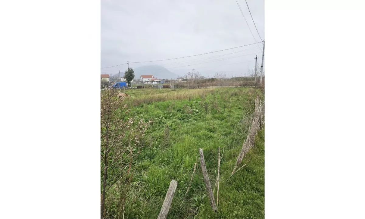 OKAZION – Shitet Prona ne Kune