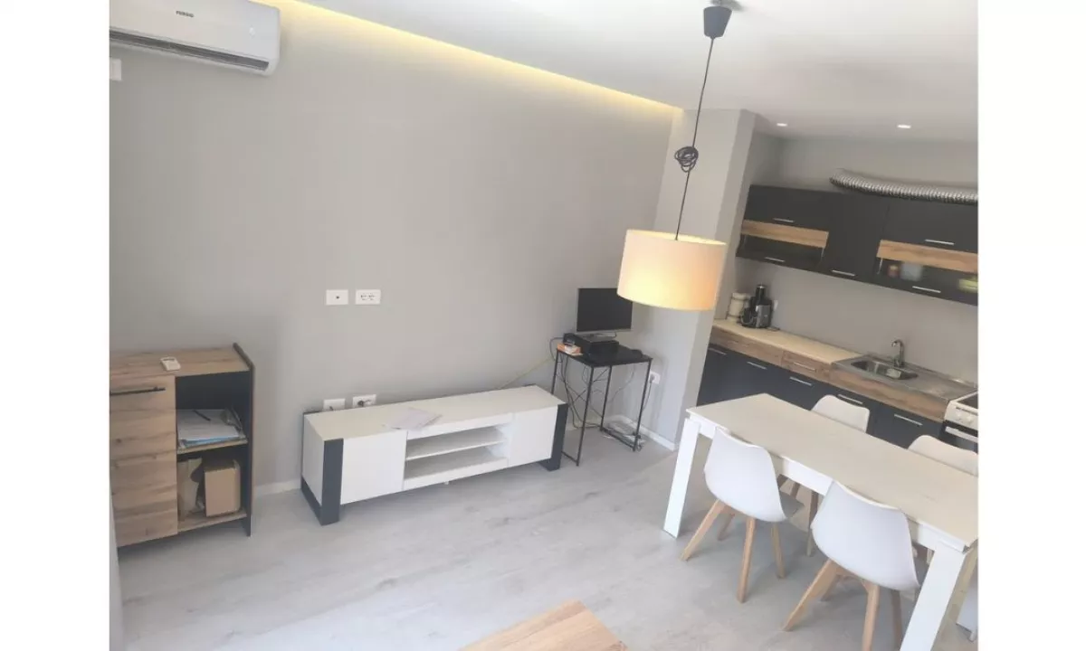 Shtepi ne shitje Apartament ne Tirane, 1+1, Mobilimi E mobiluar, Pagesa 155,000  Euro.