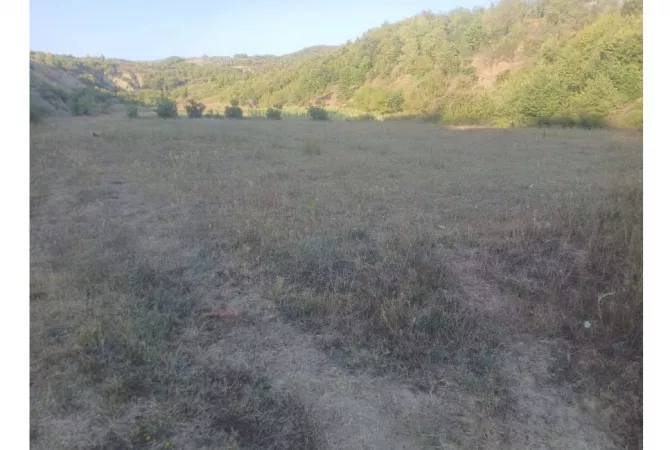 Shitet Tokë në Baldushk