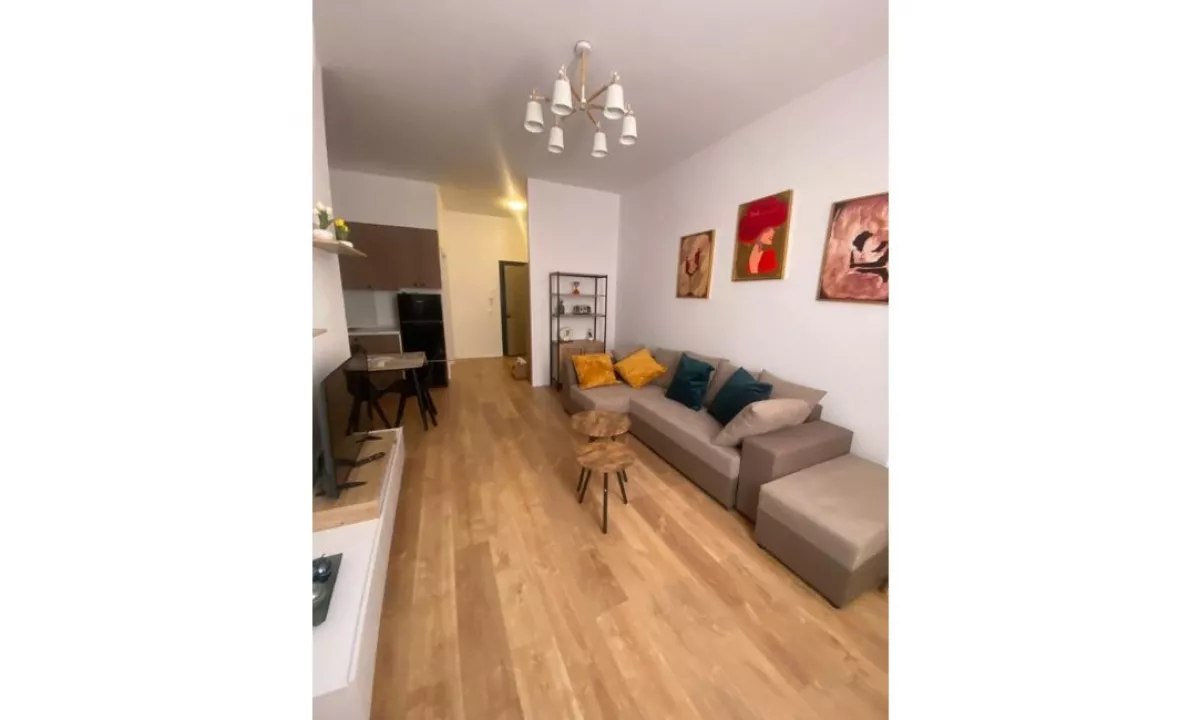 Apartment for rent in Tirana 1+1, Furnished