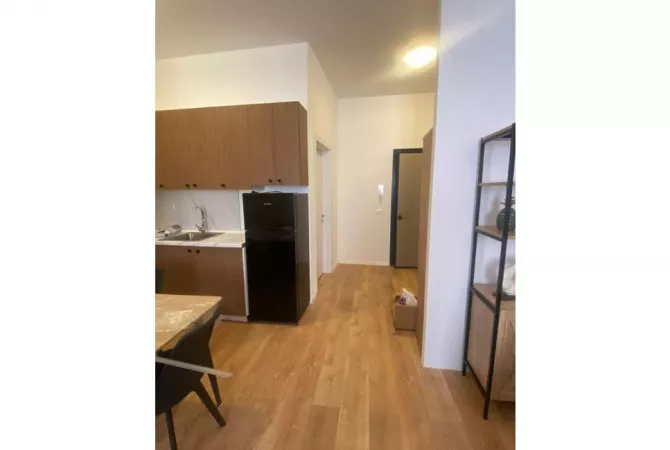 Apartment for rent in Tirana 1+1, Furnished