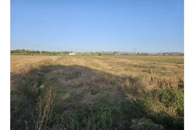 Truall ose Toke ne Kavaje - 48,000 Euro