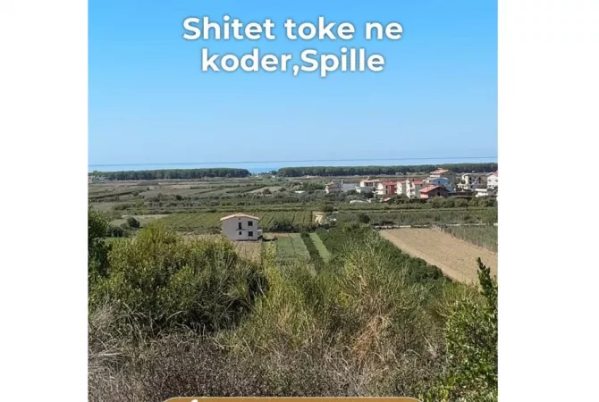  Shitet toke ne koder me pamje deti ne Spille ⚡️