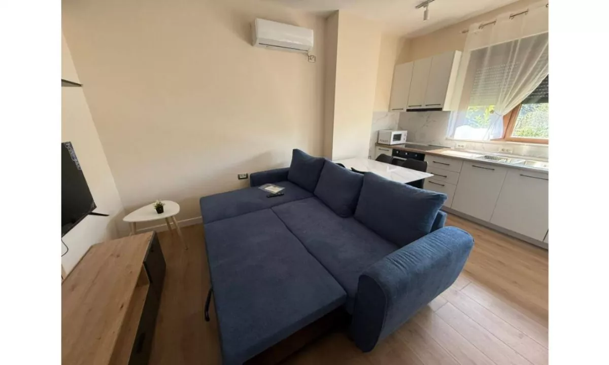 Shtepi ne shitje Apartament ne Tirane, Garsoniere, Mobilimi E mobiluar, Pagesa 55,000  Euro.