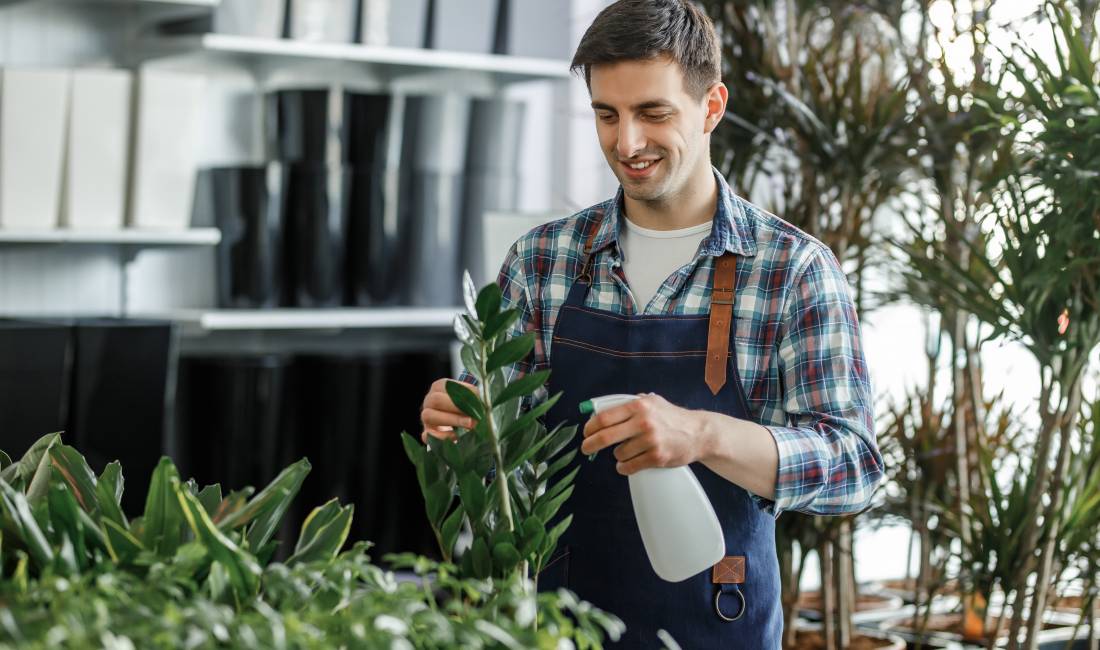 Njoftime Pune ne Tirane, Profesioni Kopshtar , Me eksperience, Pagesa 70,000  Leke.