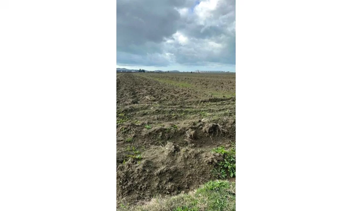  𝐒𝐇𝐈𝐓𝐄𝐓 𝐓𝐎𝐊𝐄 𝐀𝐑𝐄