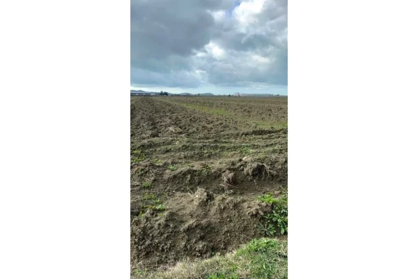  𝐒𝐇𝐈𝐓𝐄𝐓 𝐓𝐎𝐊𝐄 𝐀𝐑𝐄