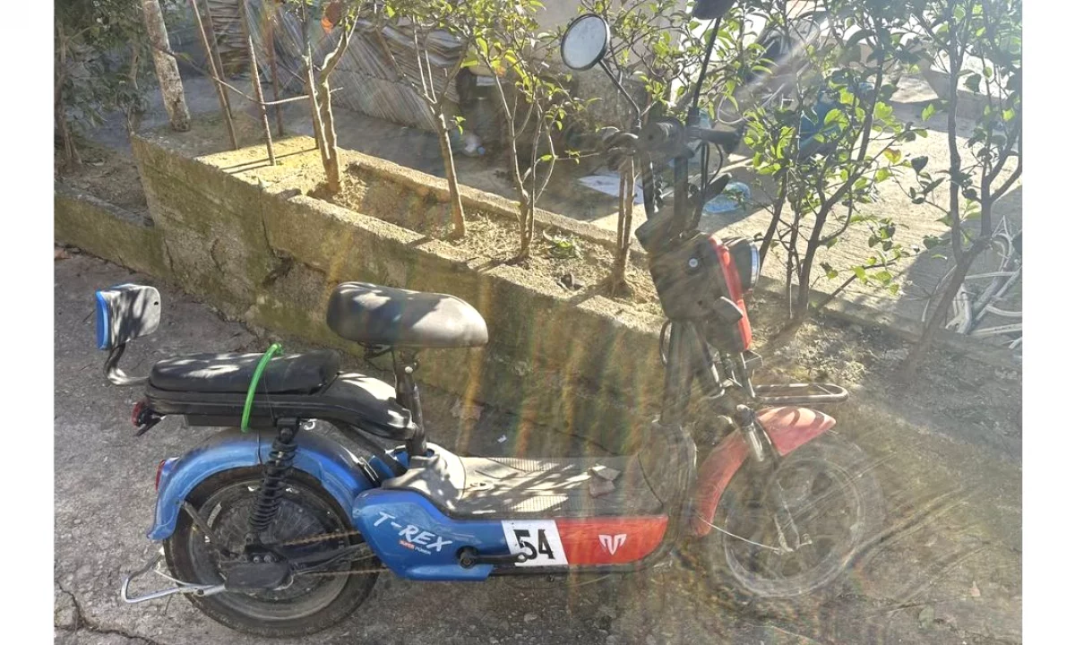 SHITET MOTOR ELEKTRIK (PER PJESE)