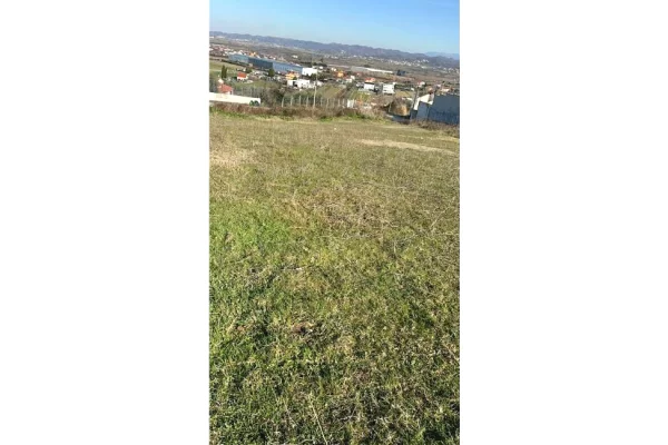 Shitet tokë në Kodër Koxhas – zonë kodrinore, ajër i pastër dhe shumë e qetë 🌿