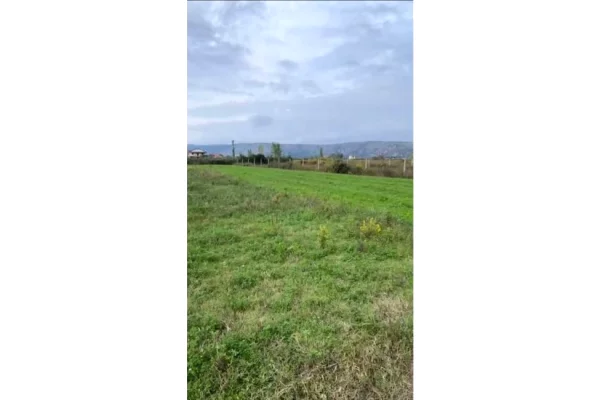 Terreno in vendita a Alessio - 17,500 Euro