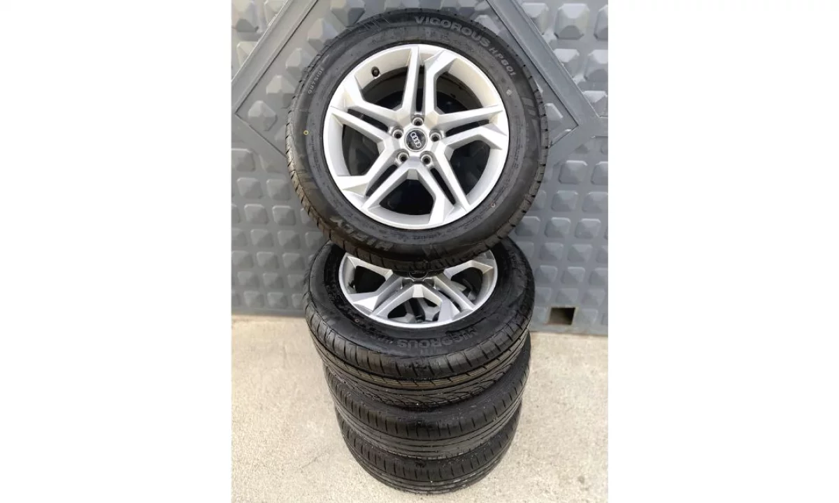 Shiten Fellnet me Goma Vere – Vigorous 2024