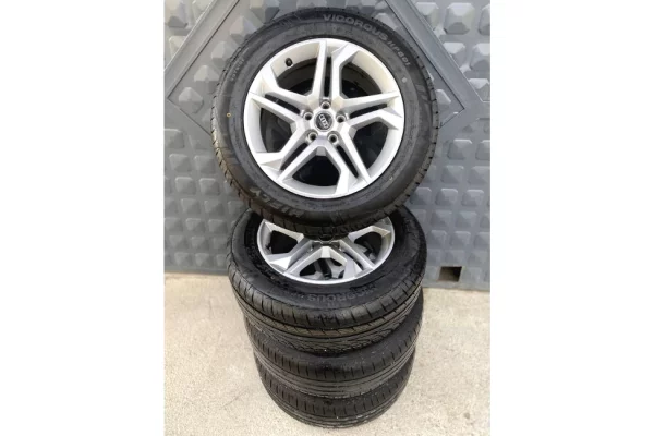 Shiten Fellnet me Goma Vere – Vigorous 2024