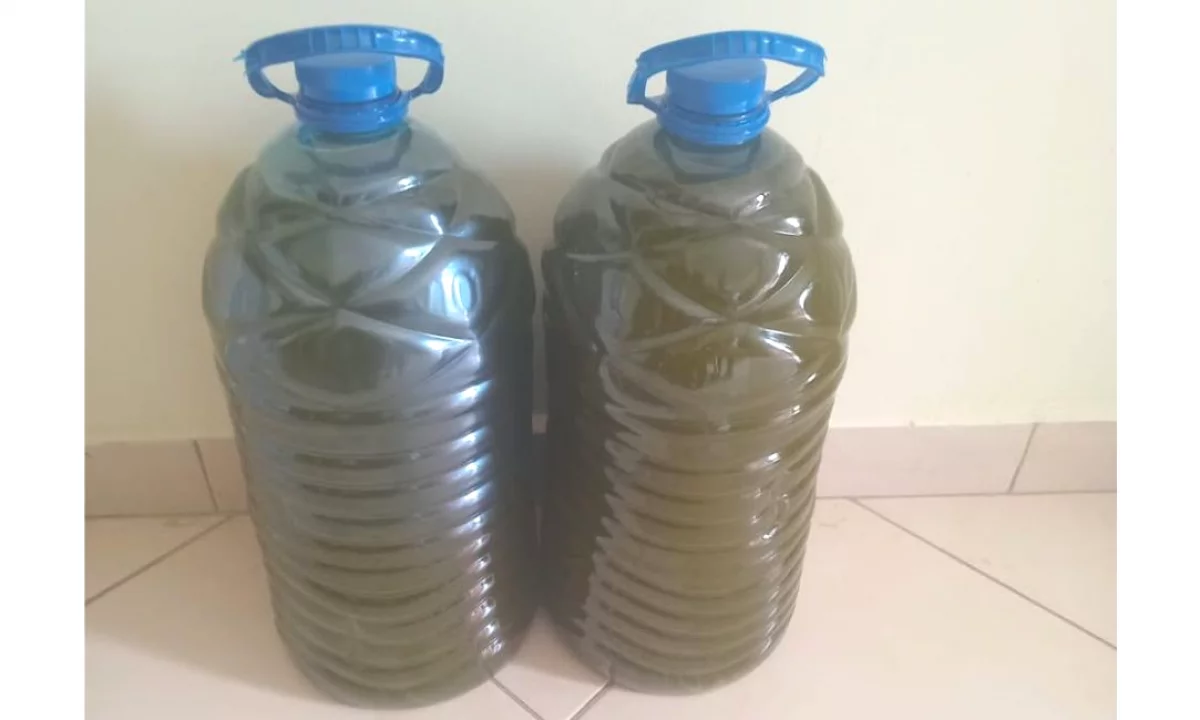  Shitet Vaj Ulliri – Varieteti Korrone 