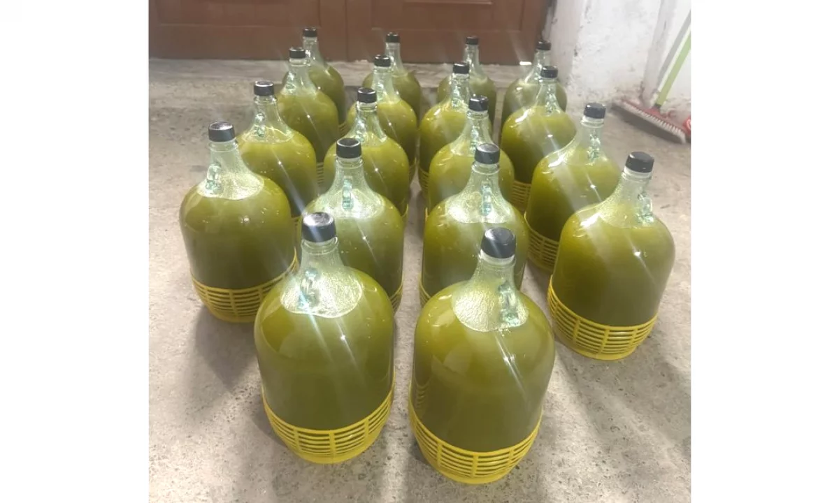 Vaj Ulliri Ekstra i Virgjer – Ullishtat Autoktone te Jateshit, Elbasan