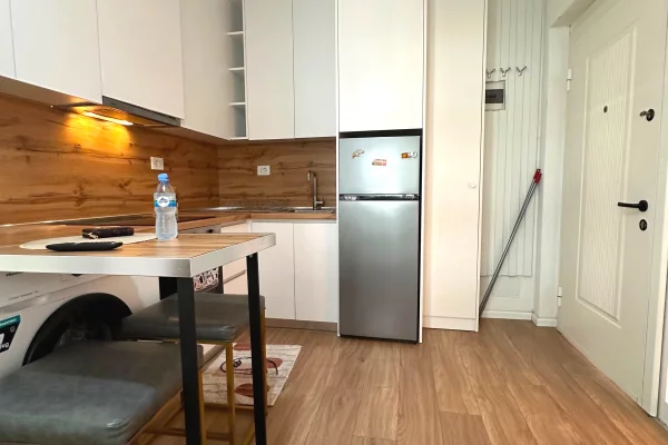 Shtepi ne shitje Apartament ne Tirane, 1+1, Mobilimi E mobiluar, Pagesa 66,000  Euro.