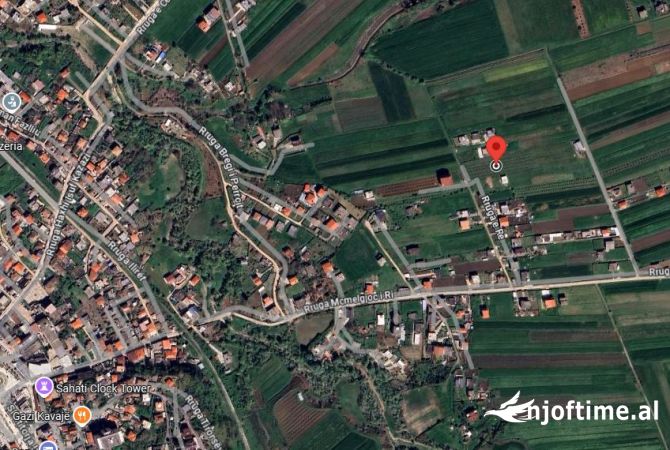 Momel,Shitet Truall buze rruge e mbjelle me rrenje ullishte 6 vjecare ,Kavaje