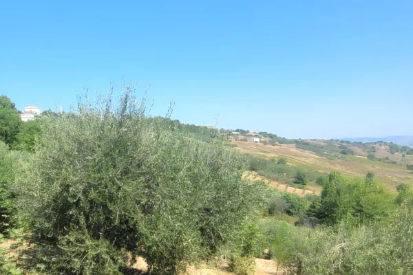 🏡 SHITET SHTEPI E VJETER ME 3500  TOKE me  ULLINJ – 6 km nga bregdeti Spillese 