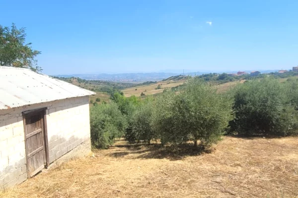 🏡 SHITET SHTEPI E VJETER ME 3500  TOKE me  ULLINJ – 6 km nga bregdeti Spillese 